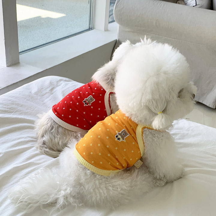 ※予約販売【DURANG RURANG】Star Bear Cool T（Red）