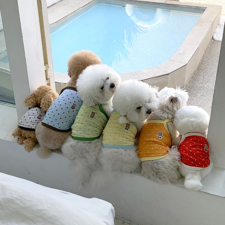 ※予約販売【DURANG RURANG】Star Bear Cool T（Soda Yellow）