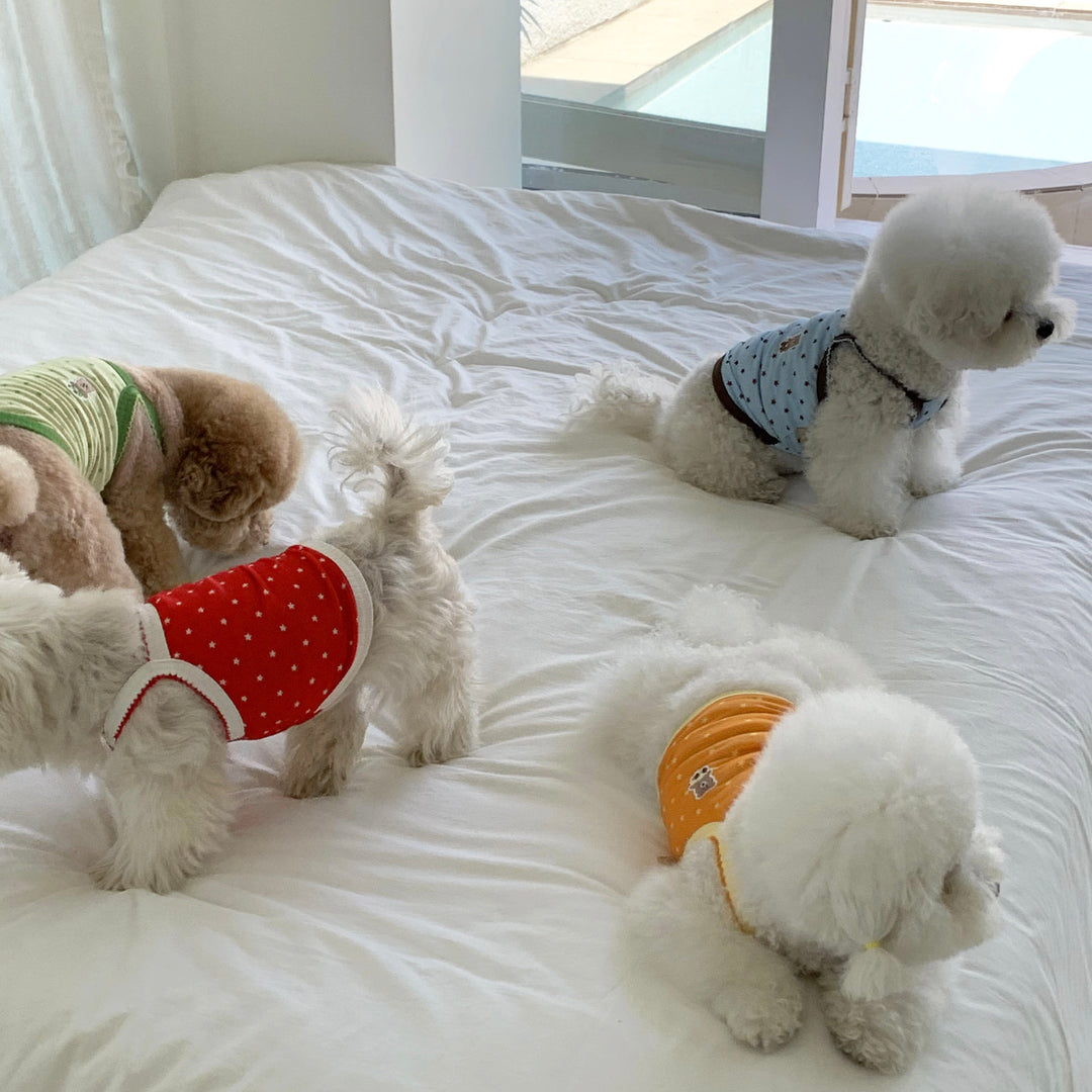 ※予約販売【DURANG RURANG】Star Bear Cool T（Red）