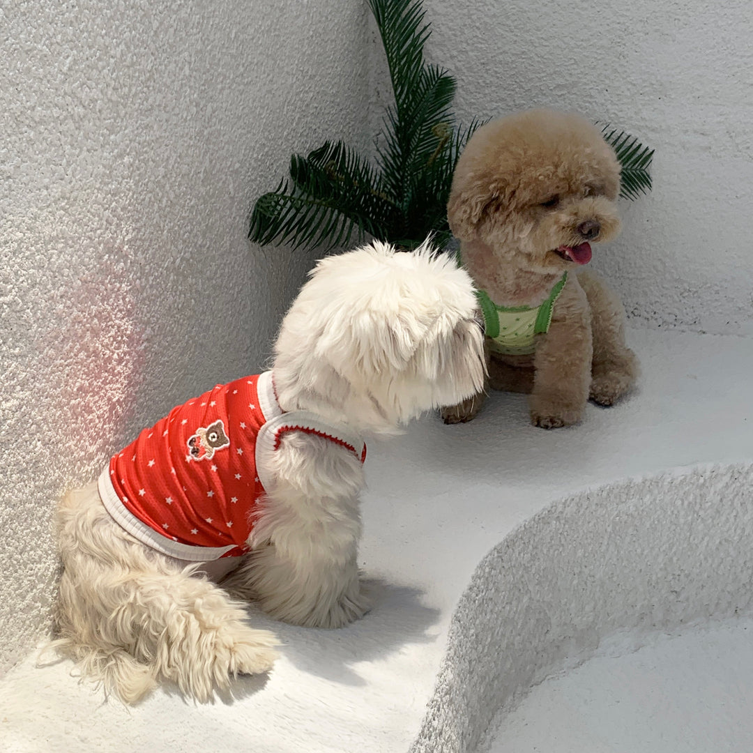 ※予約販売【DURANG RURANG】Star Bear Cool T（Red）