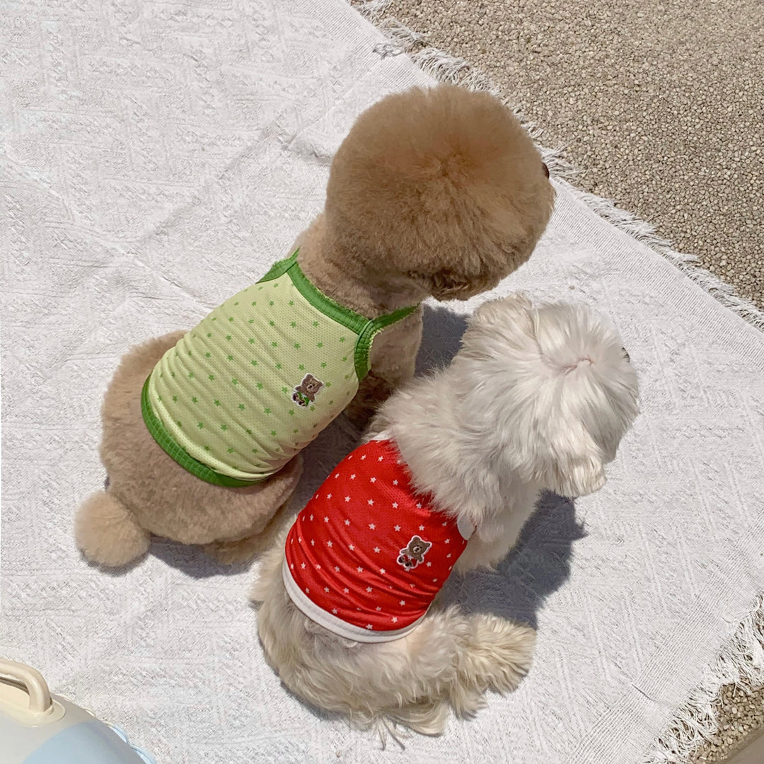 ※予約販売【DURANG RURANG】Star Bear Cool T（Red）