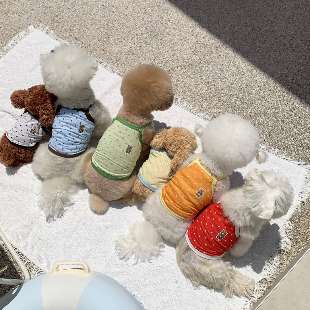 ※予約販売【DURANG RURANG】Star Bear Cool T（Orange）