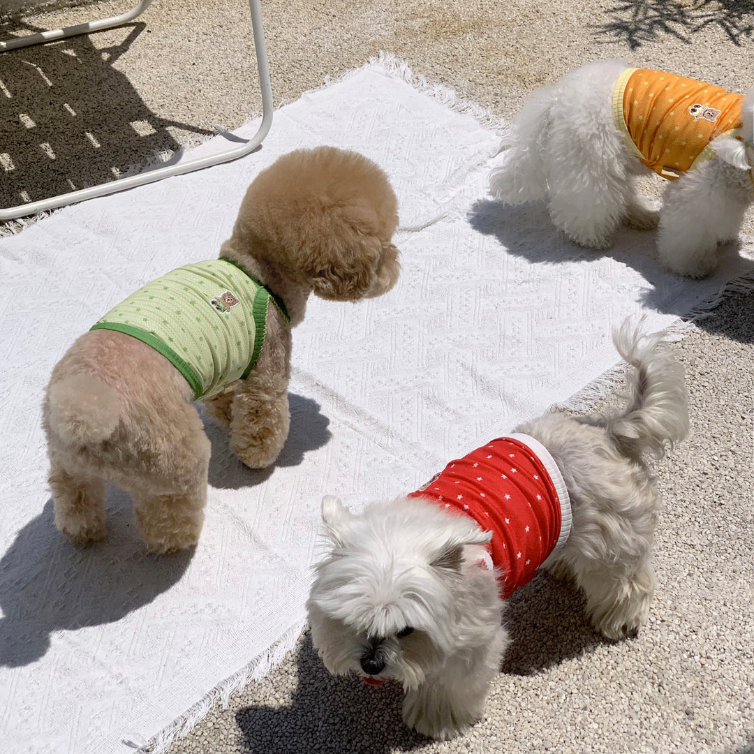 ※予約販売【DURANG RURANG】Star Bear Cool T（Red）