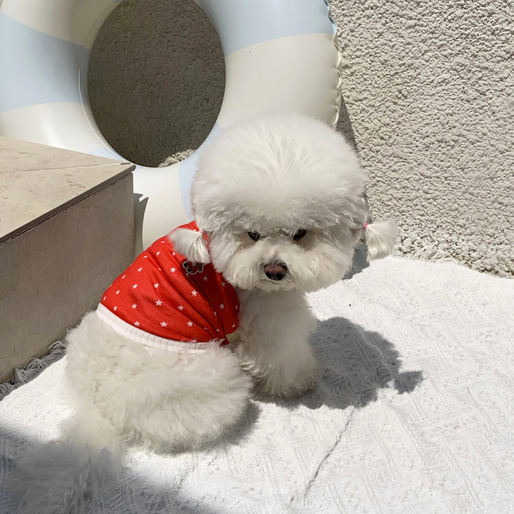 ※予約販売【DURANG RURANG】Star Bear Cool T（Red）