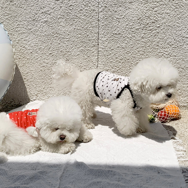 ※予約販売【DURANG RURANG】Star Bear Cool T（Cream Black）
