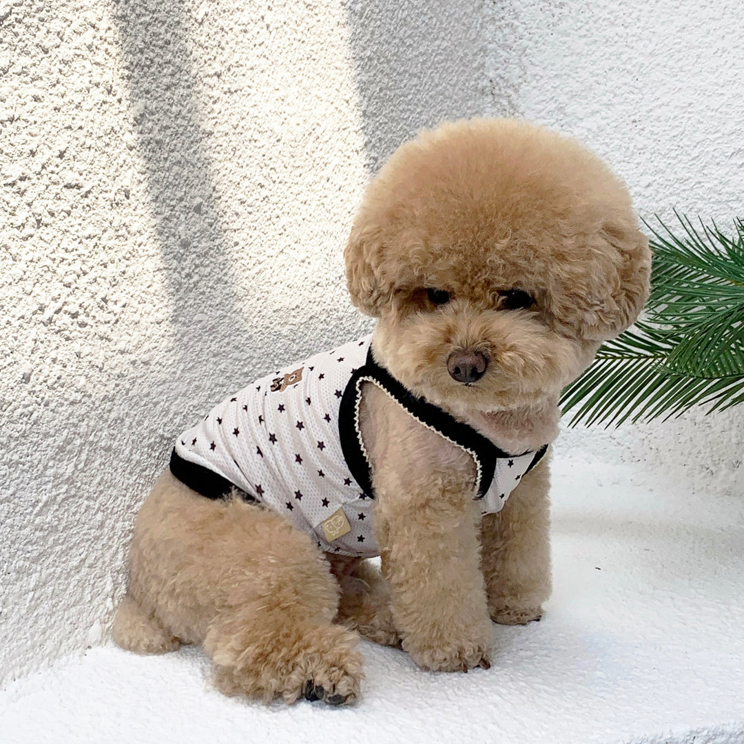※予約販売【DURANG RURANG】Star Bear Cool T（Cream Black）
