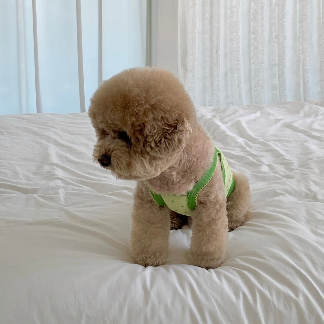 ※予約販売【DURANG RURANG】Star Bear Cool T（Light Green）