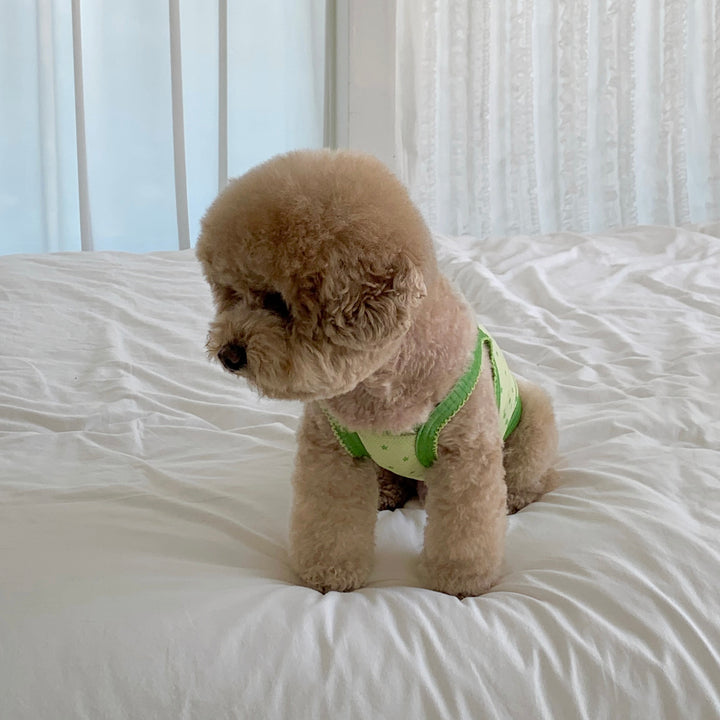※予約販売【DURANG RURANG】Star Bear Cool T（Light Green）