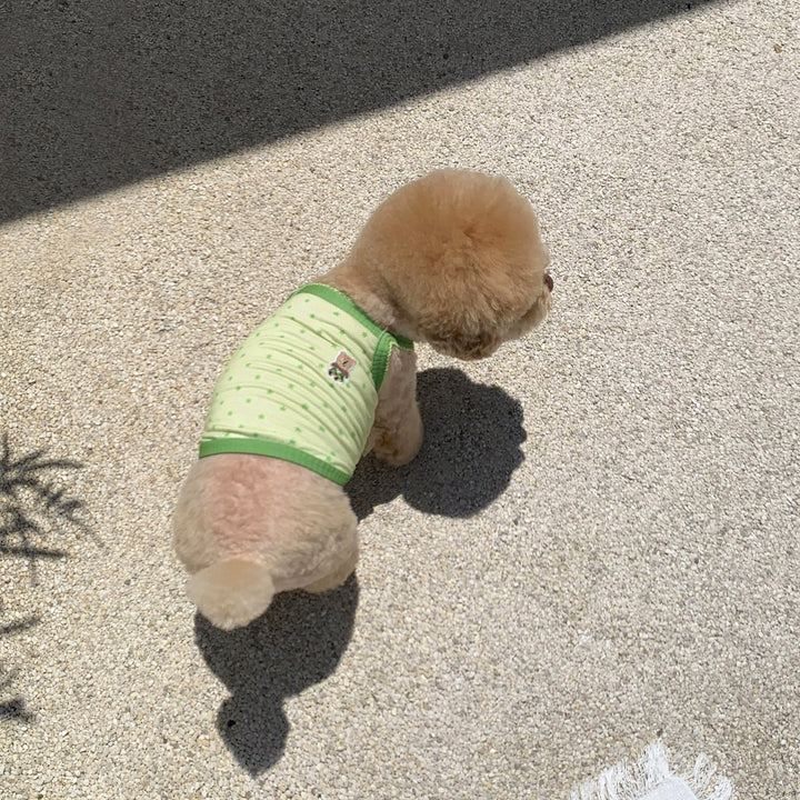 ※予約販売【DURANG RURANG】Star Bear Cool T（Light Green）