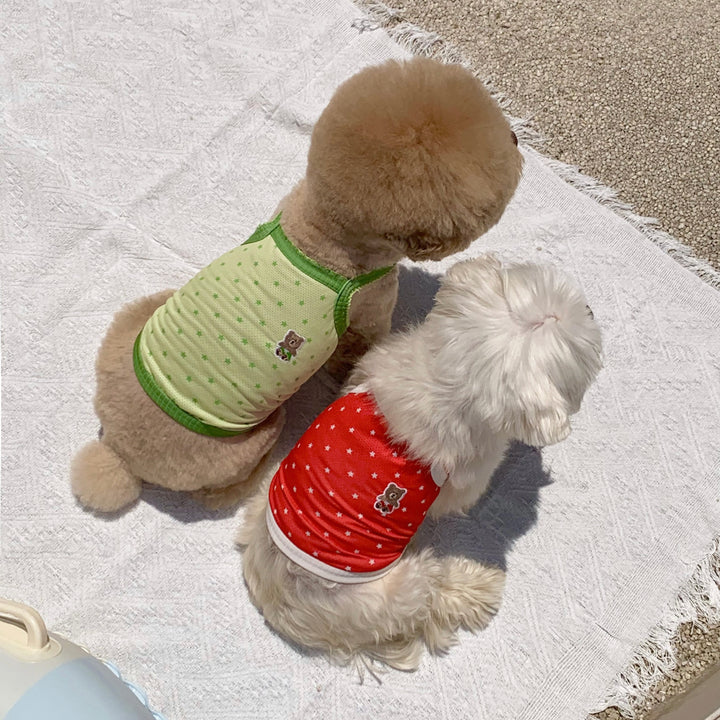※予約販売【DURANG RURANG】Star Bear Cool T（Light Green）
