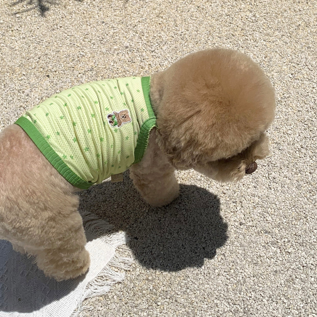 ※予約販売【DURANG RURANG】Star Bear Cool T（Light Green）