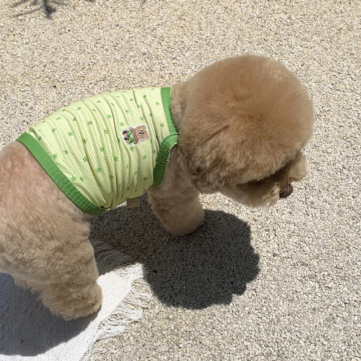 ※予約販売【DURANG RURANG】Star Bear Cool T（Light Green）