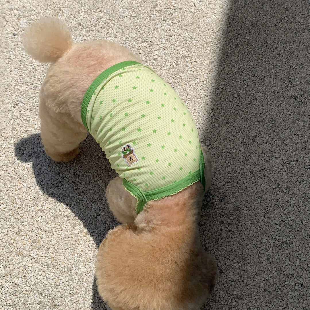 ※予約販売【DURANG RURANG】Star Bear Cool T（Light Green）
