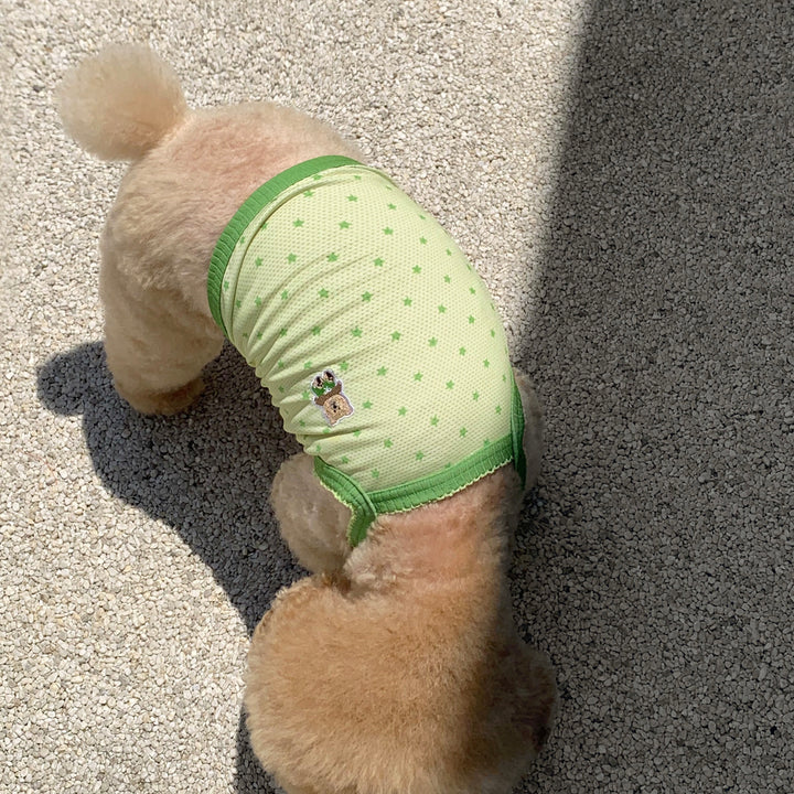 ※予約販売【DURANG RURANG】Star Bear Cool T（Light Green）
