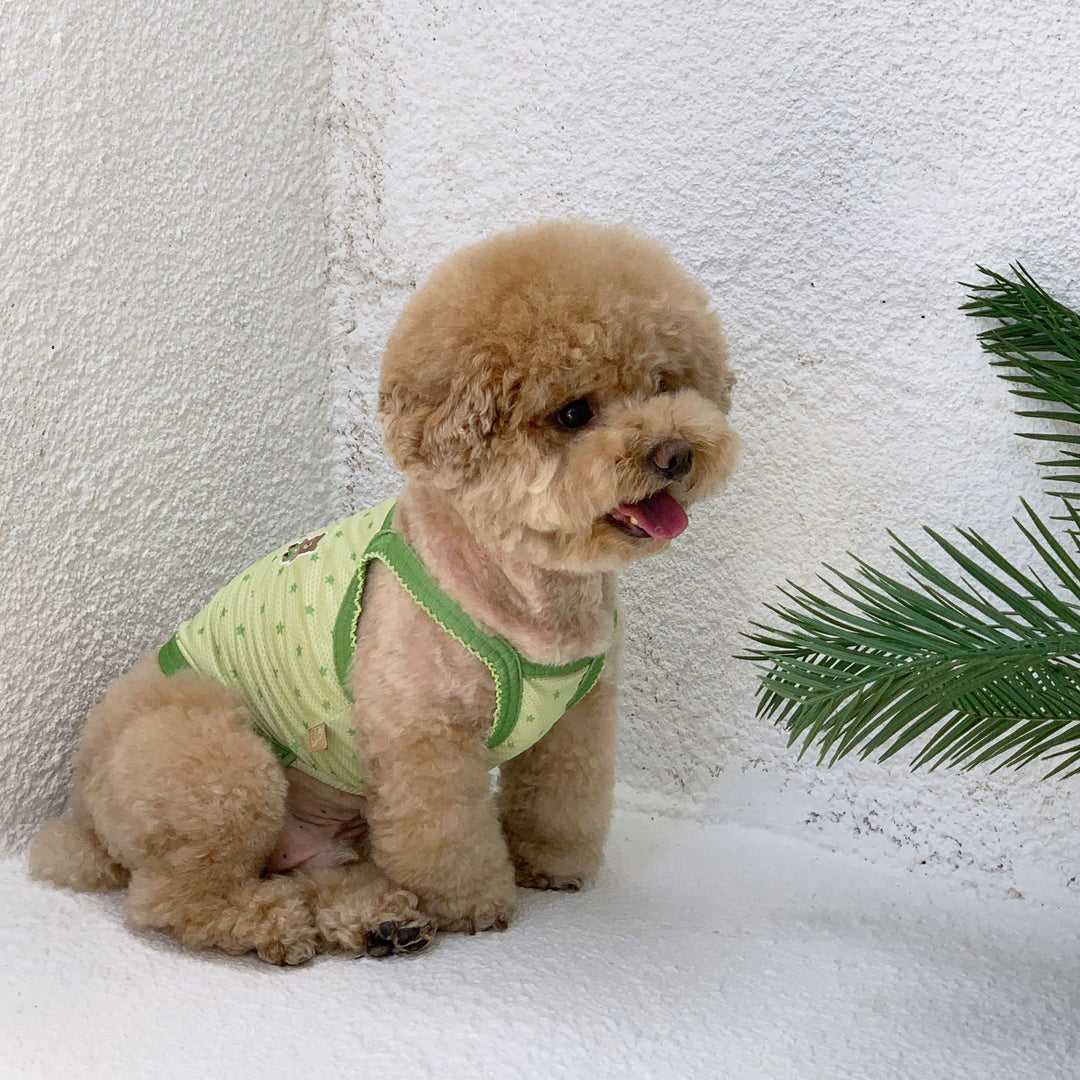 ※予約販売【DURANG RURANG】Star Bear Cool T（Light Green）