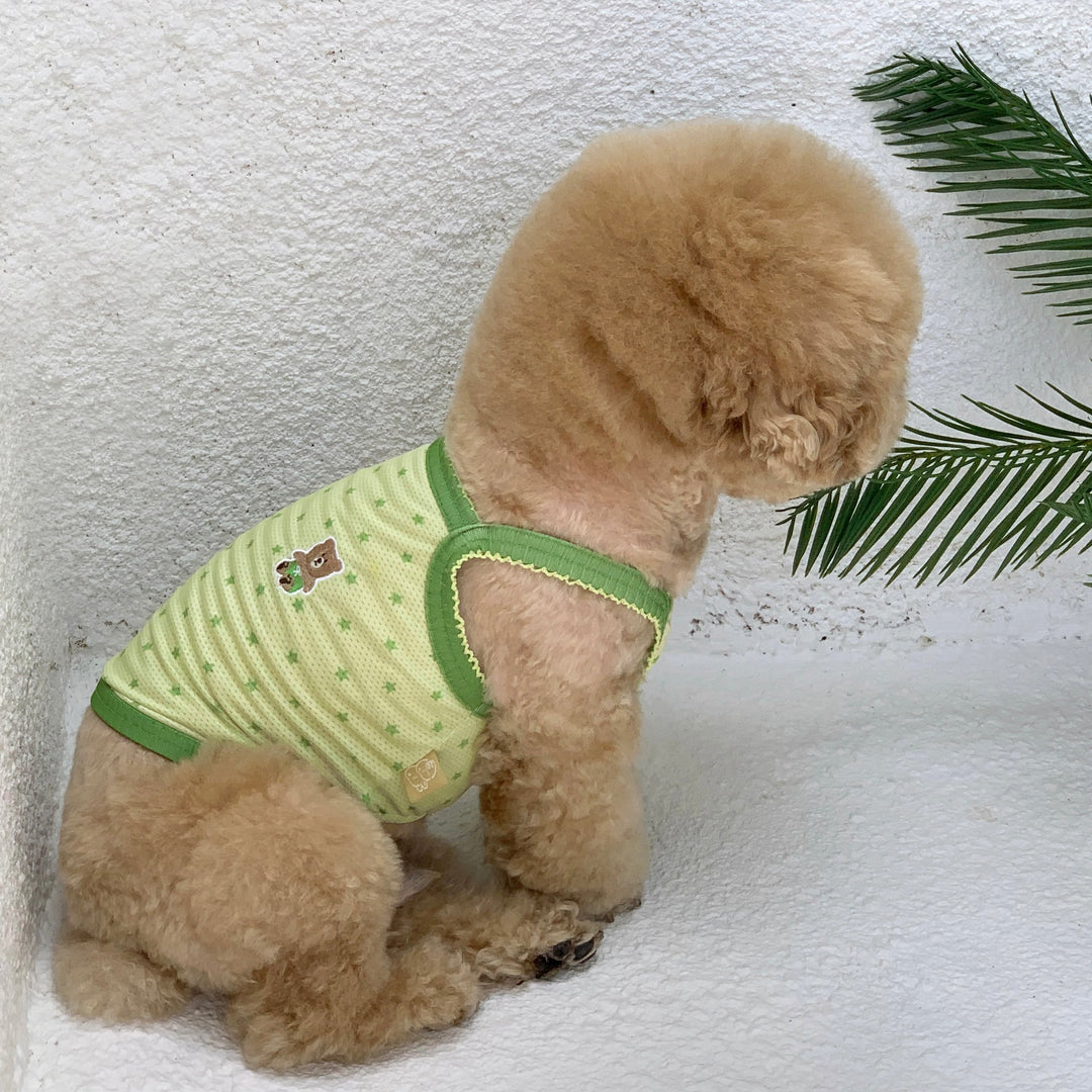 ※予約販売【DURANG RURANG】Star Bear Cool T（Light Green）