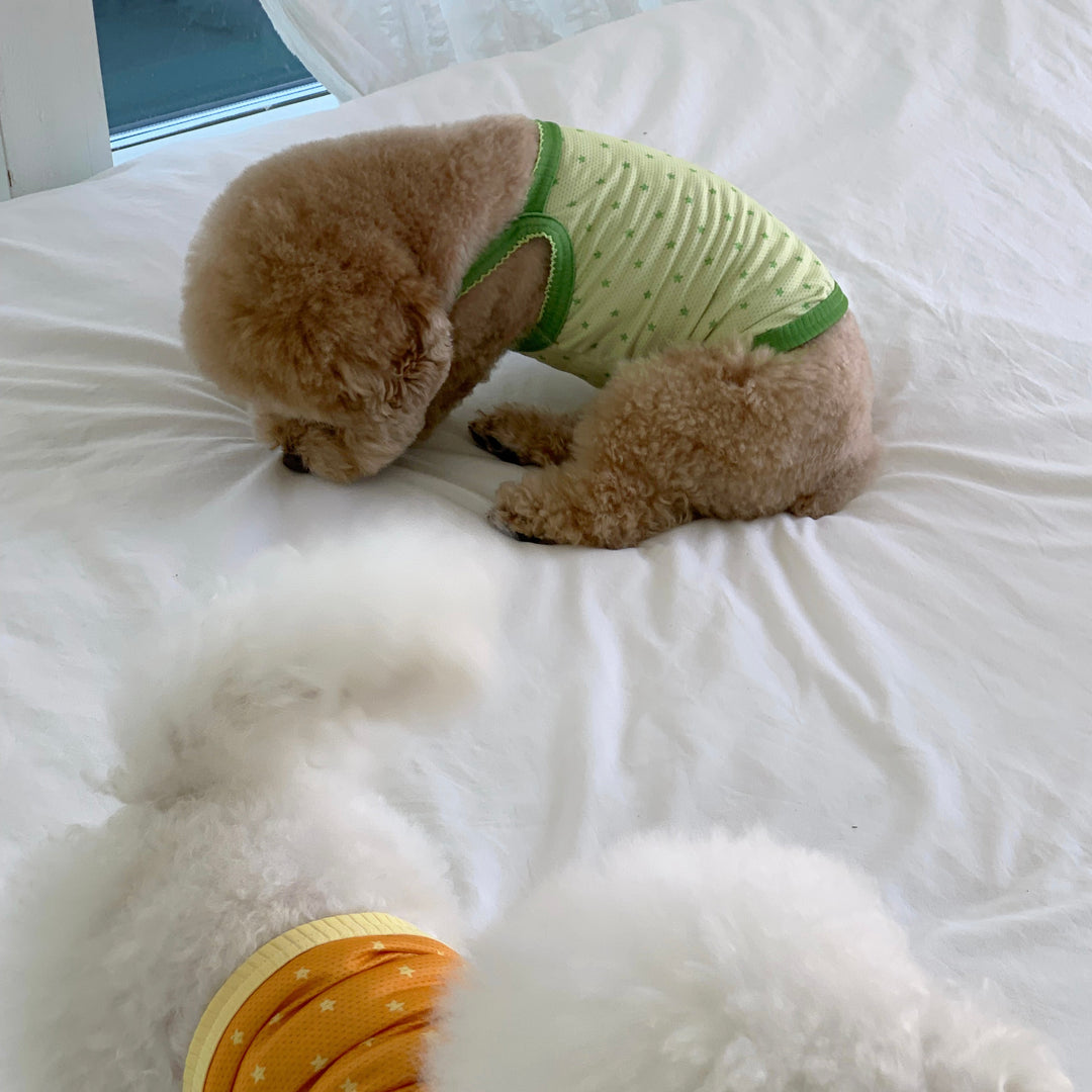 ※予約販売【DURANG RURANG】Star Bear Cool T（Light Green）