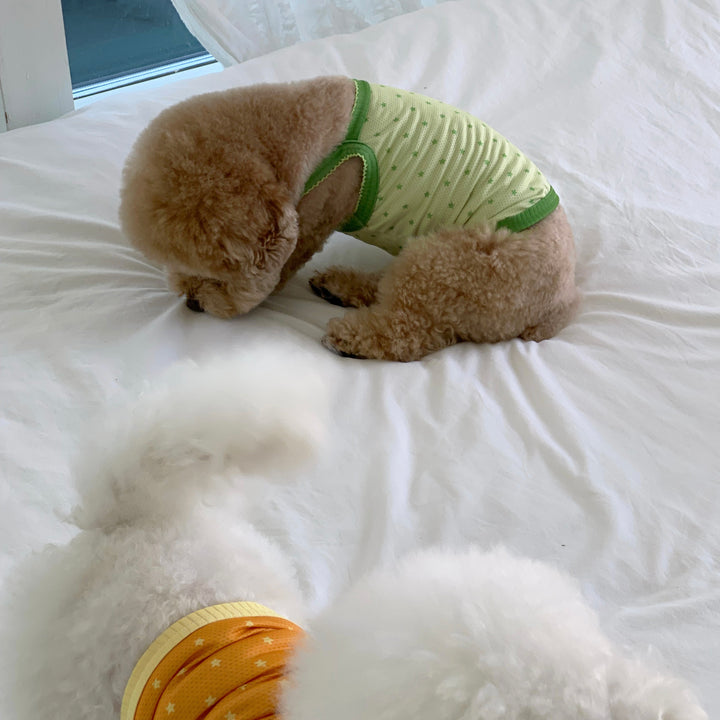 ※予約販売【DURANG RURANG】Star Bear Cool T（Light Green）