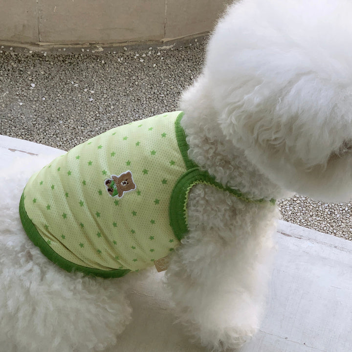 ※予約販売【DURANG RURANG】Star Bear Cool T（Light Green）