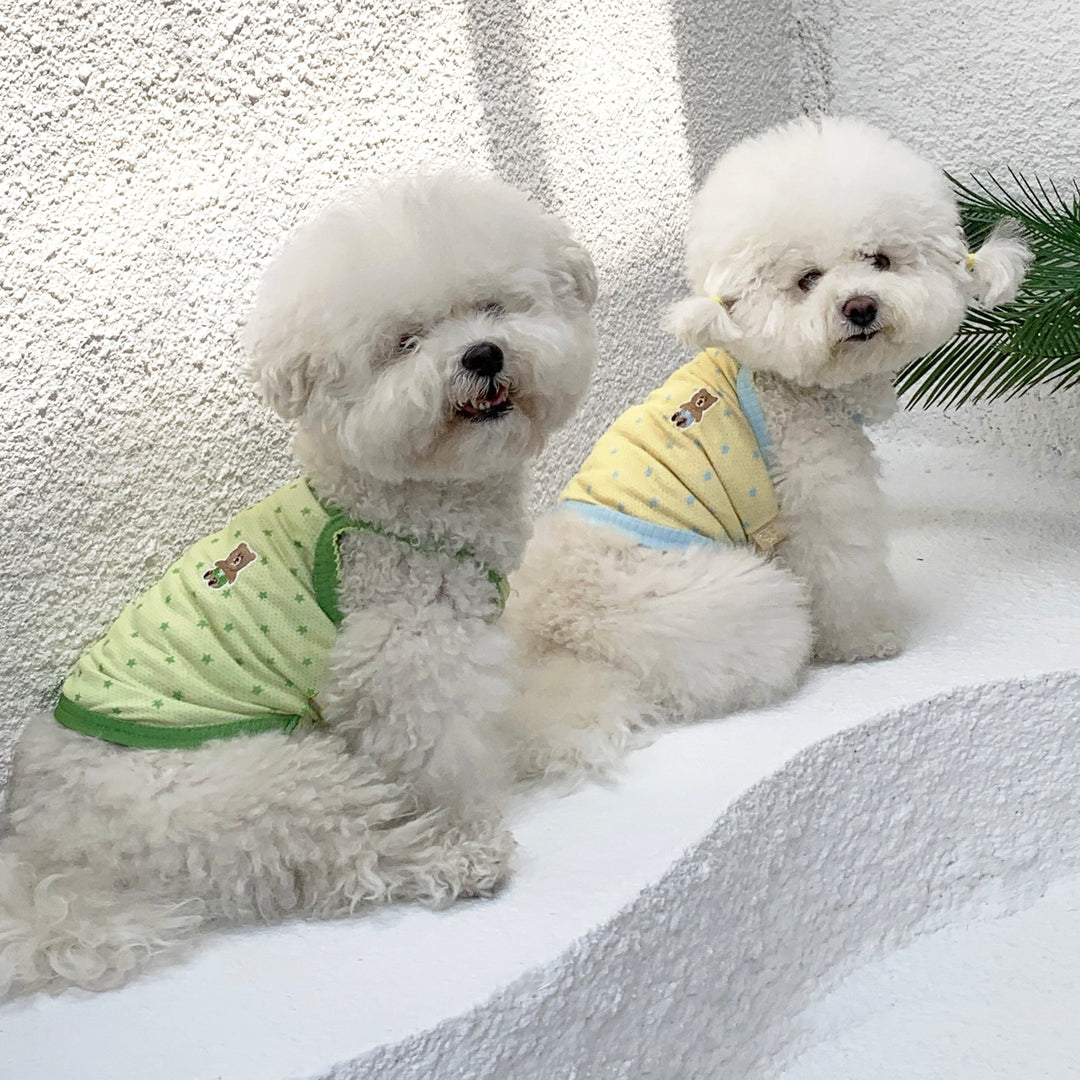 ※予約販売【DURANG RURANG】Star Bear Cool T（Light Green）