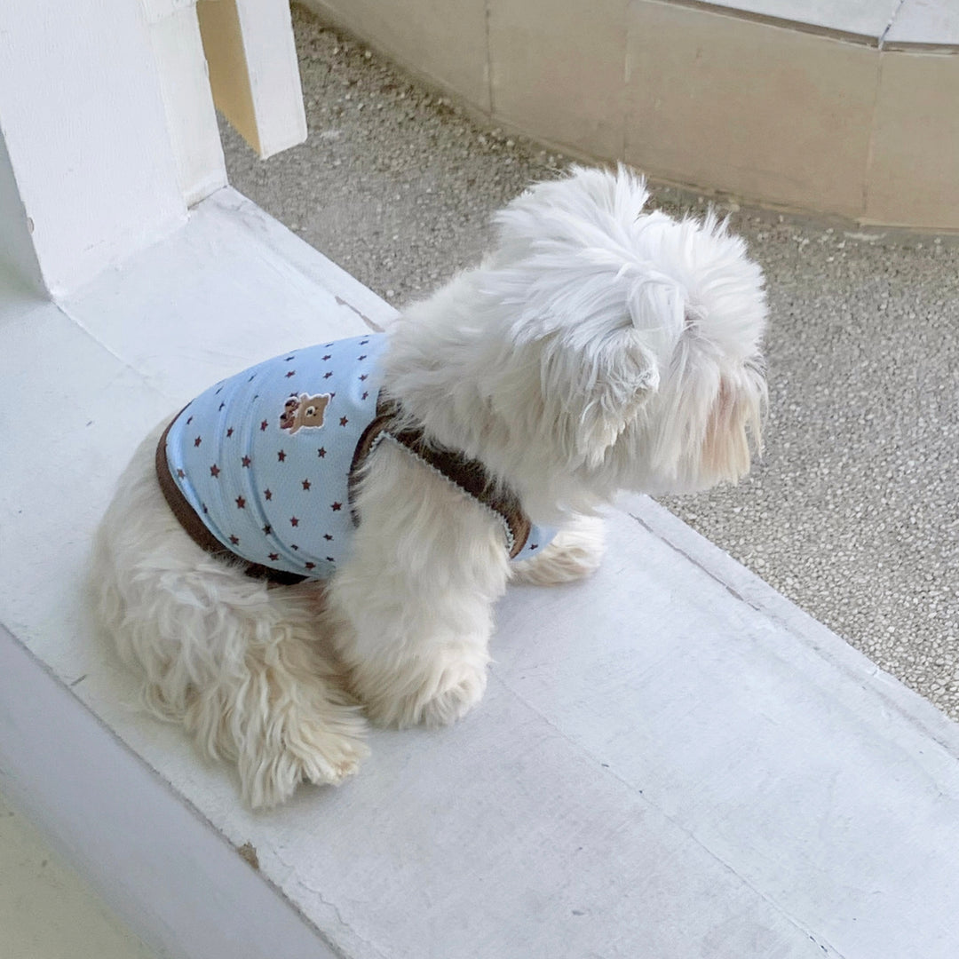 ※予約販売【DURANG RURANG】Star Bear Cool T（Blue Brown）