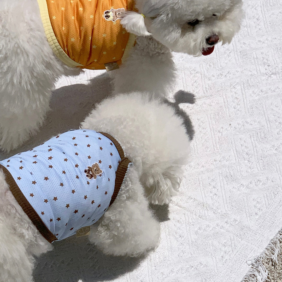 ※予約販売【DURANG RURANG】Star Bear Cool T（Blue Brown）