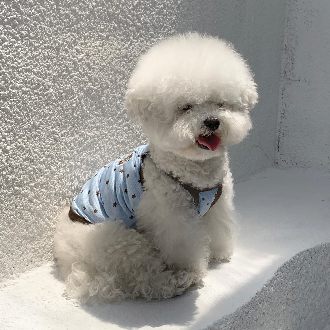 ※予約販売【DURANG RURANG】Star Bear Cool T（Blue Brown）