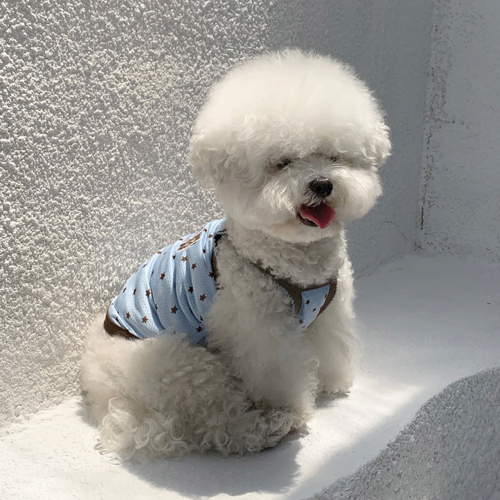 ※予約販売【DURANG RURANG】Star Bear Cool T（Blue Brown）