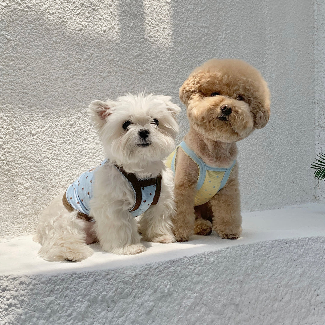 ※予約販売【DURANG RURANG】Star Bear Cool T（Blue Brown）
