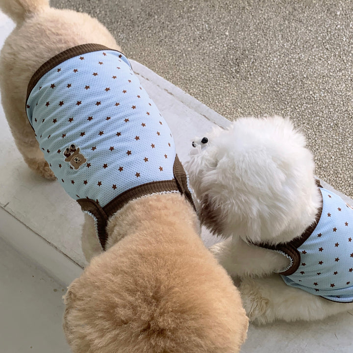 ※予約販売【DURANG RURANG】Star Bear Cool T（Blue Brown）