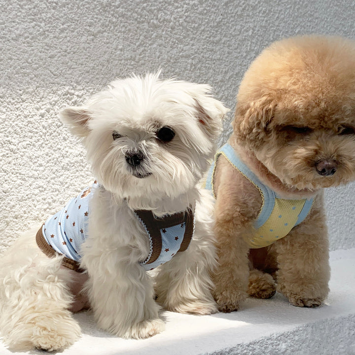 ※予約販売【DURANG RURANG】Star Bear Cool T（Blue Brown）