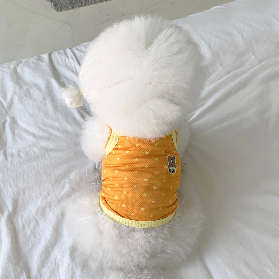 ※予約販売【DURANG RURANG】Star Bear Cool T（Orange）