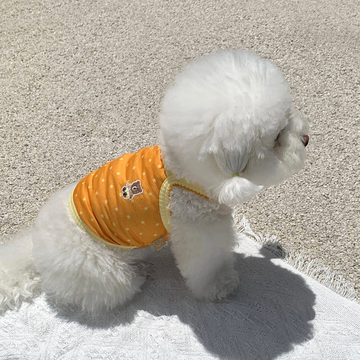 ※予約販売【DURANG RURANG】Star Bear Cool T（Orange）