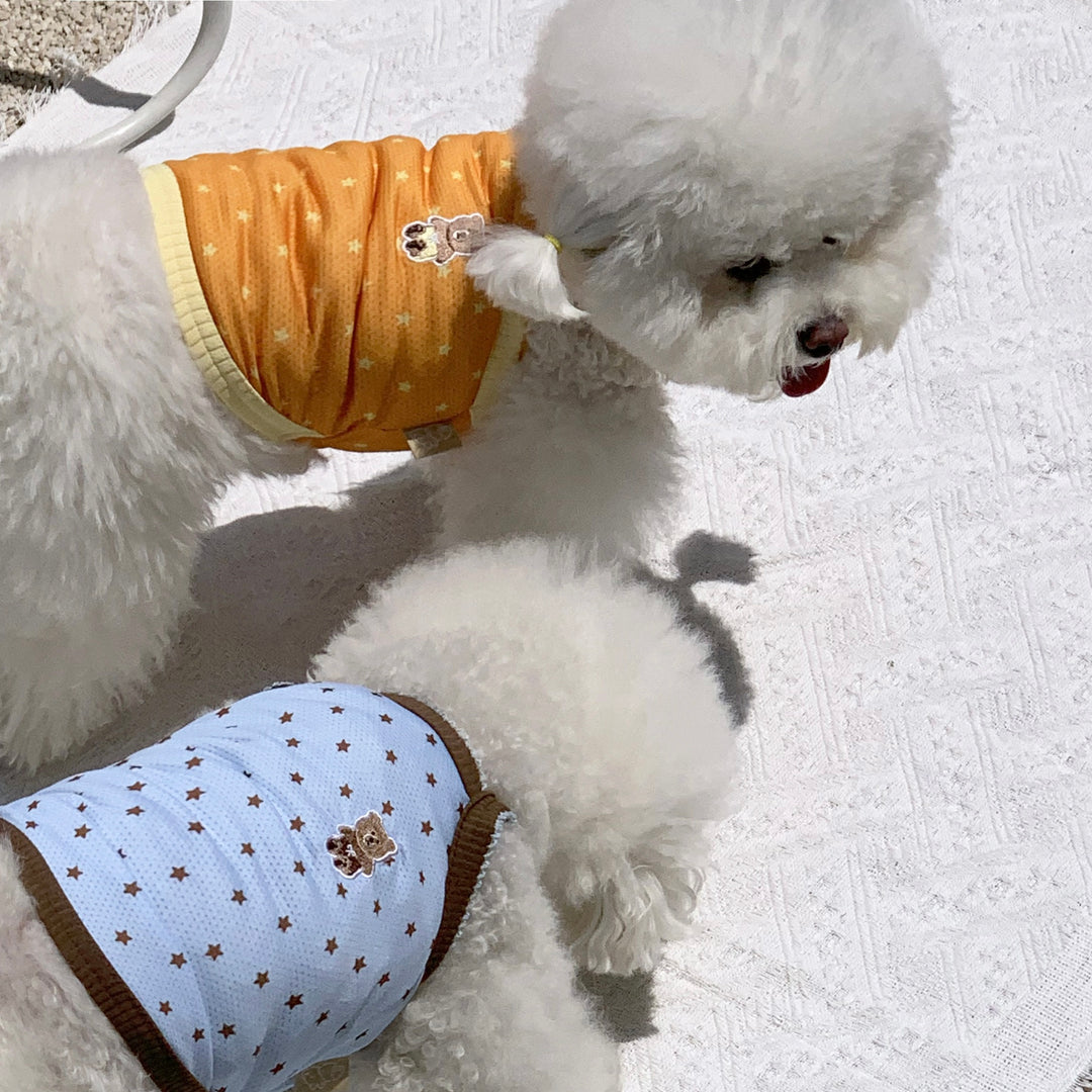 ※予約販売【DURANG RURANG】Star Bear Cool T（Orange）