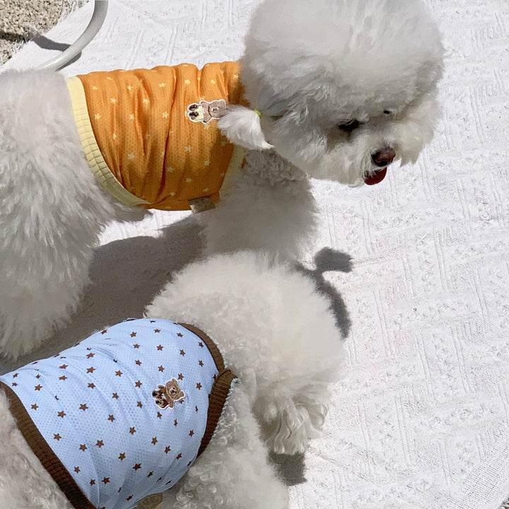 ※予約販売【DURANG RURANG】Star Bear Cool T（Orange）