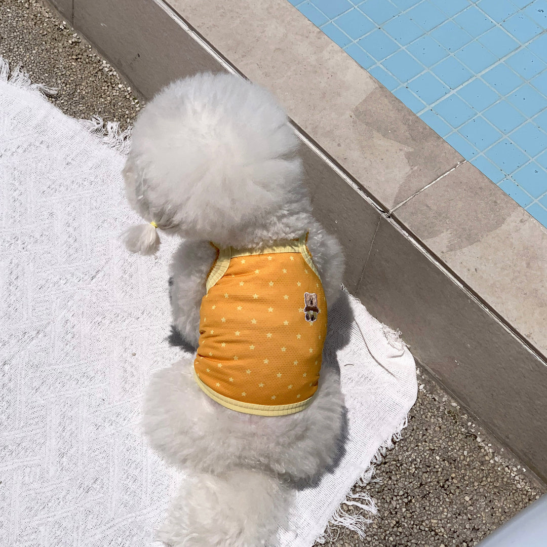 ※予約販売【DURANG RURANG】Star Bear Cool T（Orange）