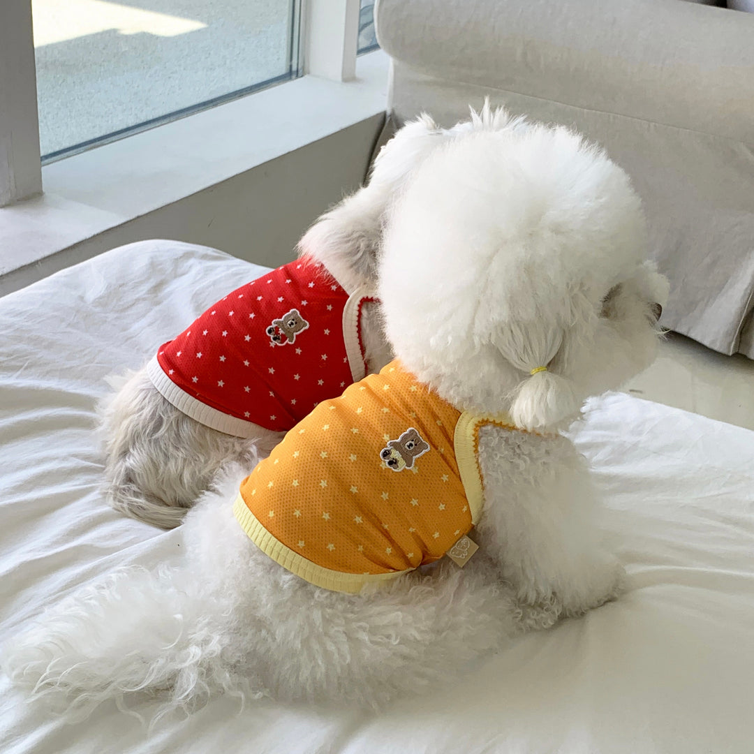 ※予約販売【DURANG RURANG】Star Bear Cool T（Orange）
