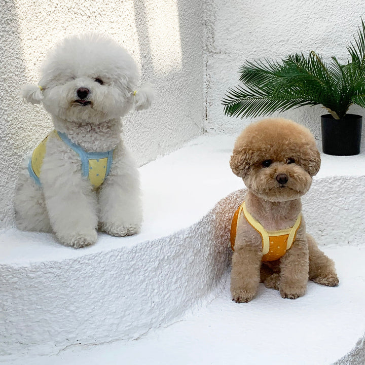 ※予約販売【DURANG RURANG】Star Bear Cool T（Orange）