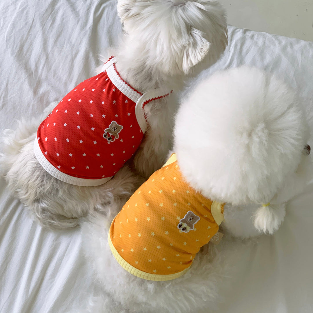 ※予約販売【DURANG RURANG】Star Bear Cool T（Orange）