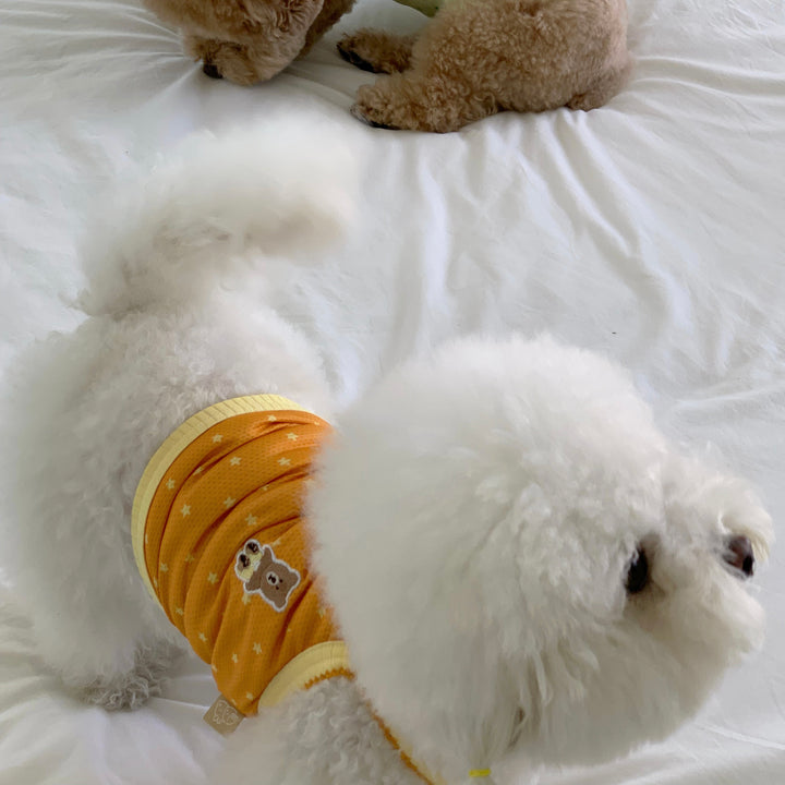 ※予約販売【DURANG RURANG】Star Bear Cool T（Orange）