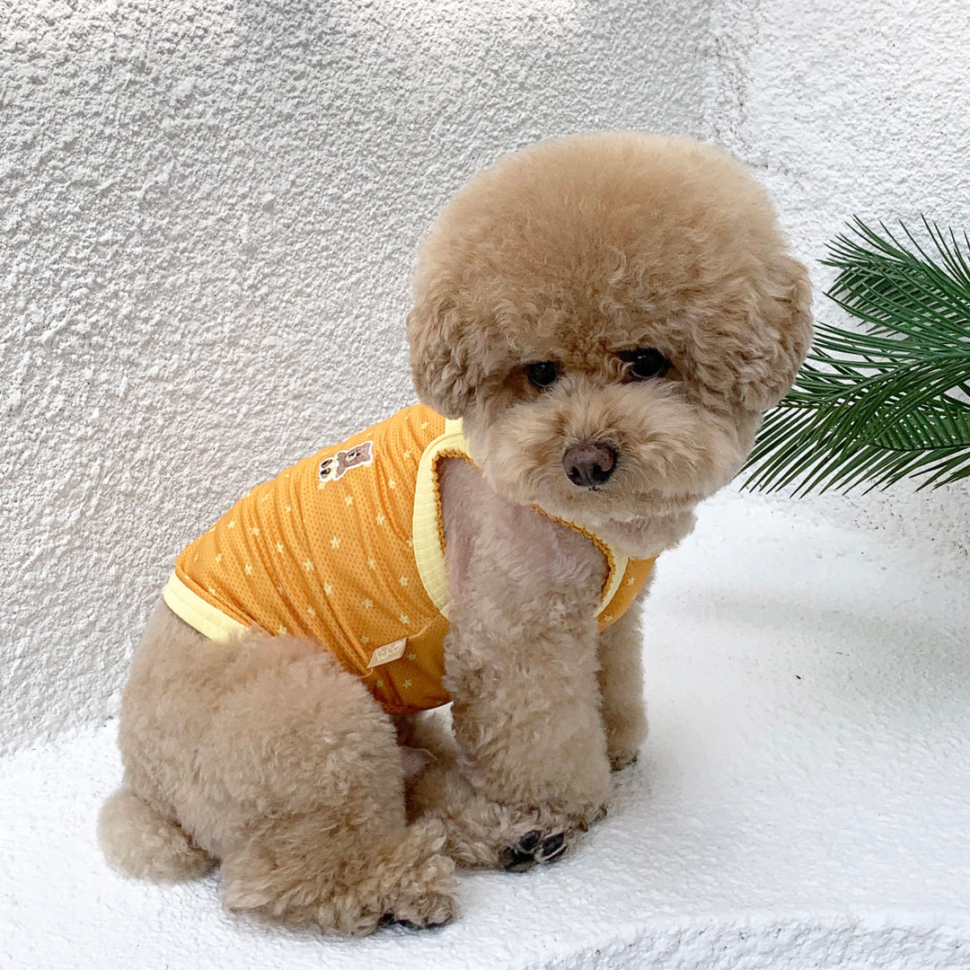 ※予約販売【DURANG RURANG】Star Bear Cool T（Orange）