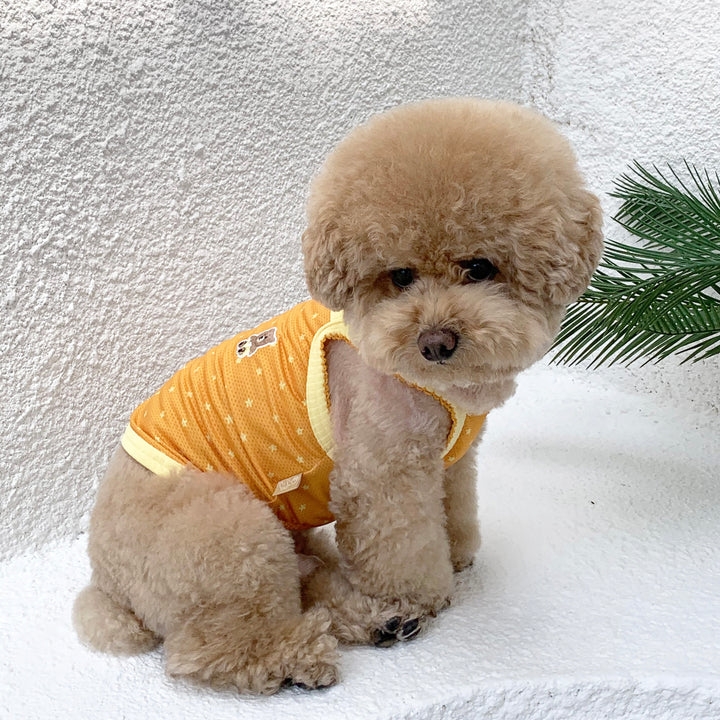 ※予約販売【DURANG RURANG】Star Bear Cool T（Orange）