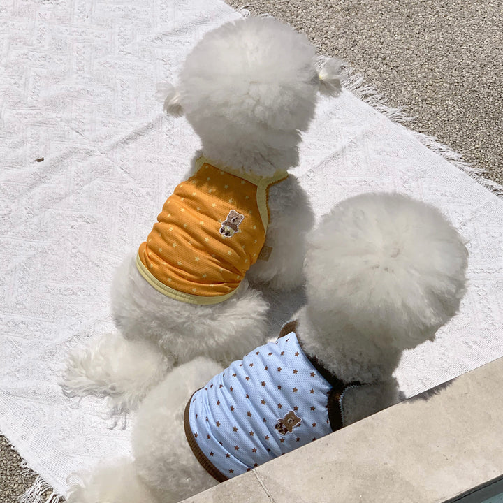 ※予約販売【DURANG RURANG】Star Bear Cool T（Orange）