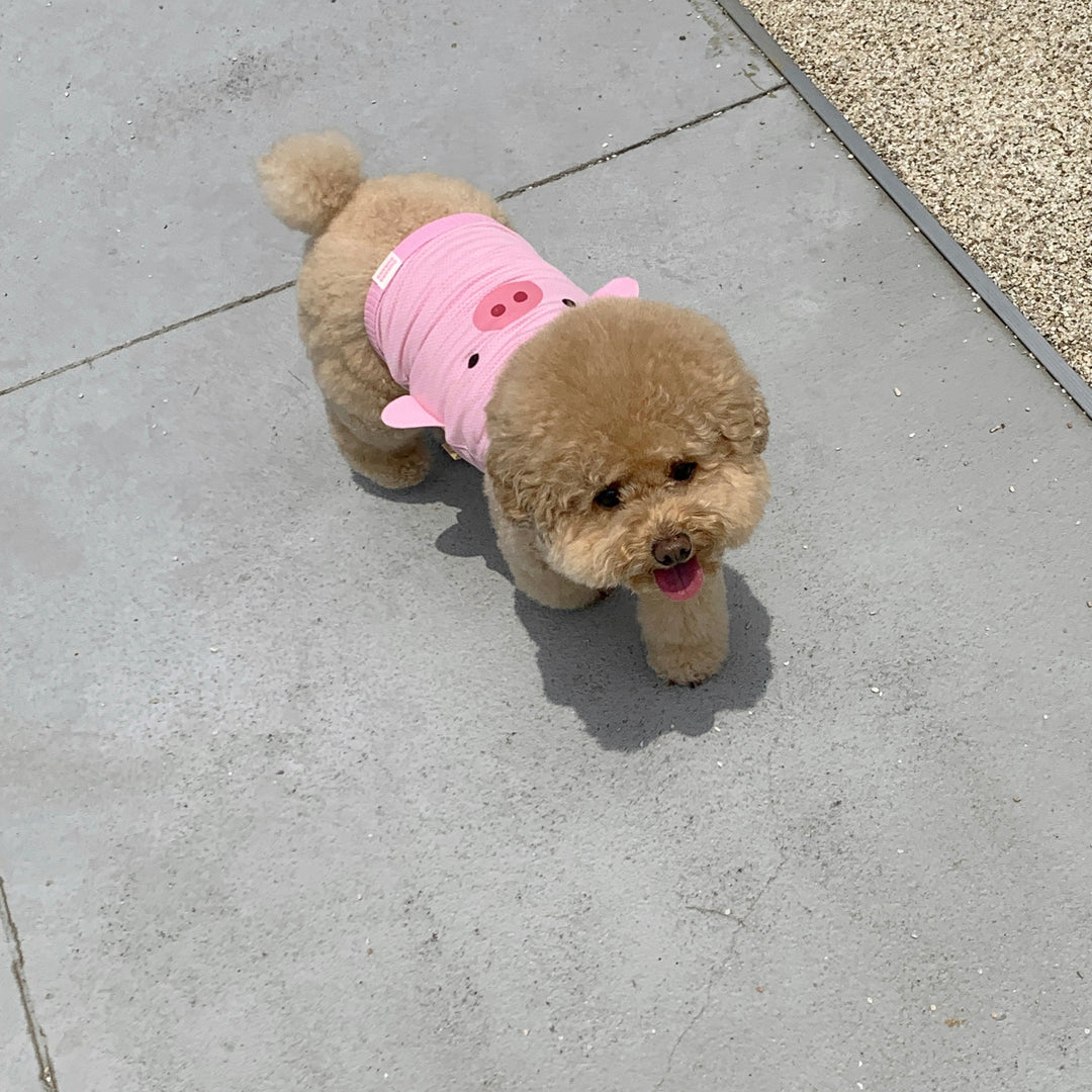 ※予約販売【DURANG RURANG】Baby Pig Cool T（Cami Top）