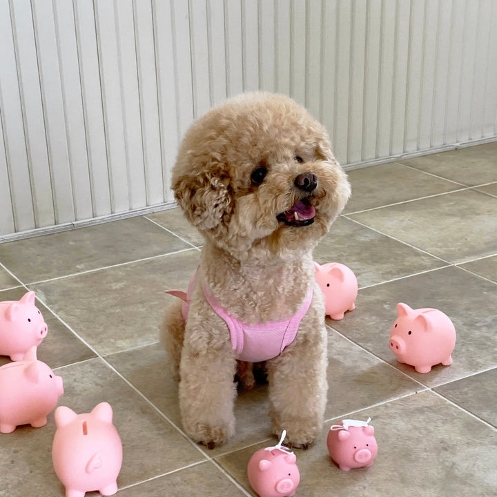 ※予約販売【DURANG RURANG】Baby Pig Cool T（Cami Top）