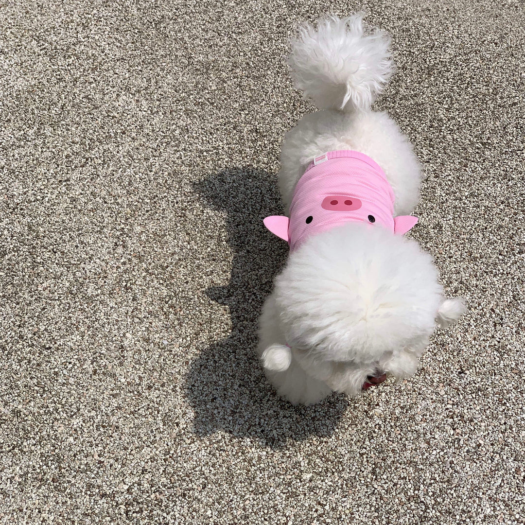 ※予約販売【DURANG RURANG】Baby Pig Cool T（Cami Top）