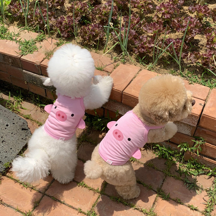 ※予約販売【DURANG RURANG】Baby Pig Cool T（Cami Top）