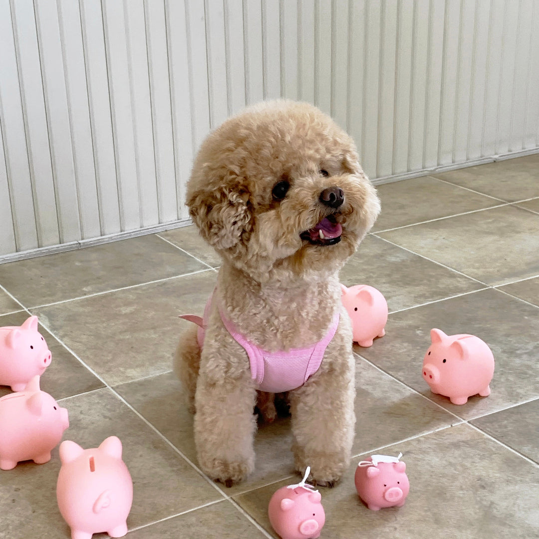 ※予約販売【DURANG RURANG】Baby Pig Cool T（Sleeveless）