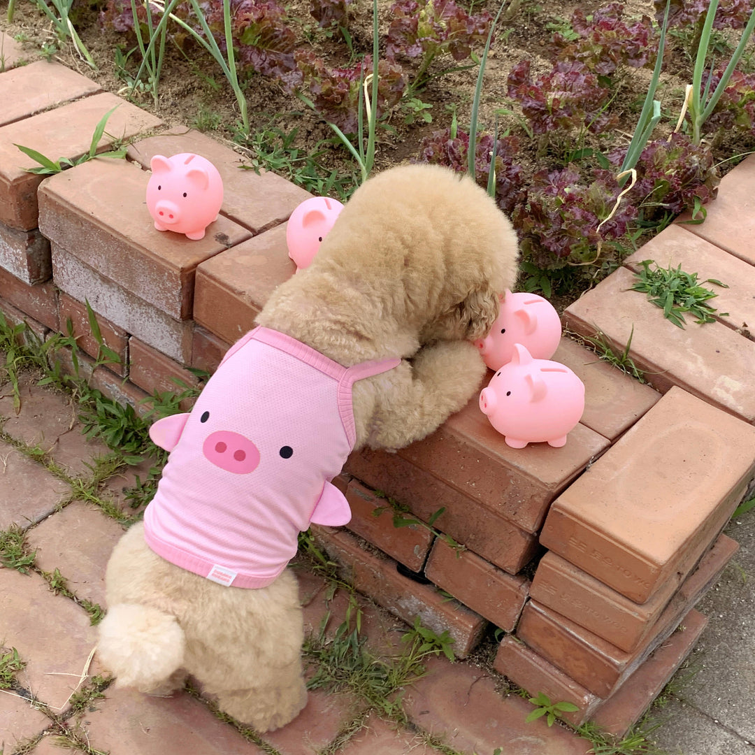 ※予約販売【DURANG RURANG】Baby Pig Cool T（Sleeveless）