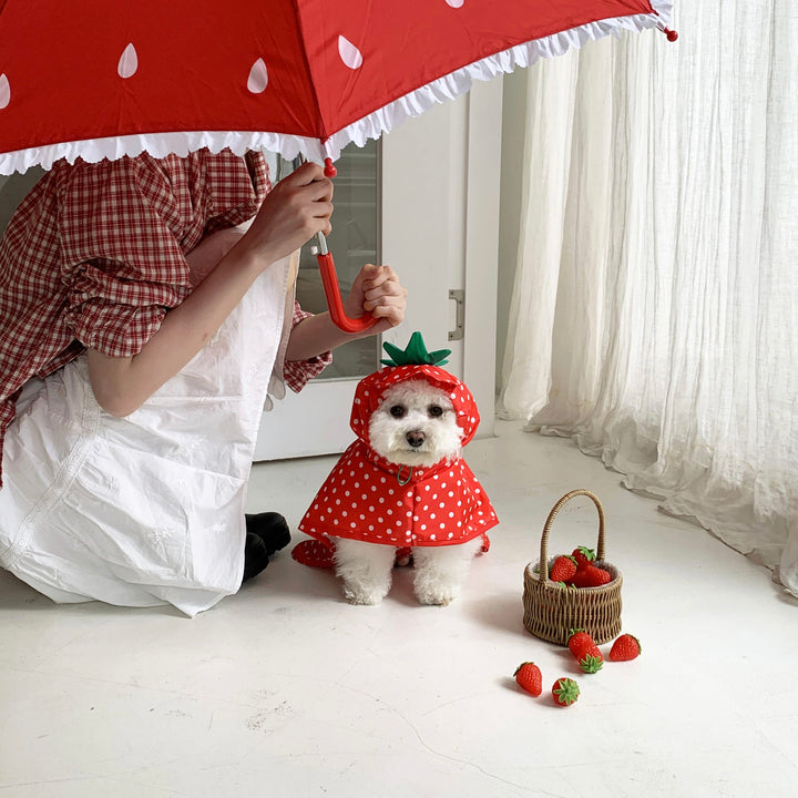 ※予約販売【DURANG RURANG】Strawberry Poncho Raincoat